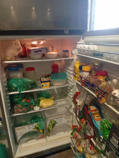 fridge for sale