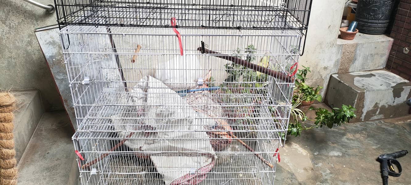 cages 3