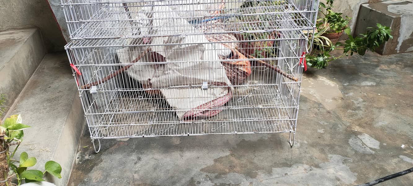 cages 4