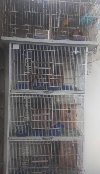 Birds Cages