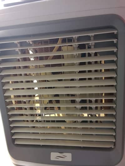 Ice cooler dada pack 6 ice palate