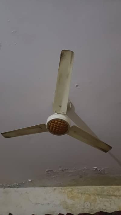 sufi celling fans