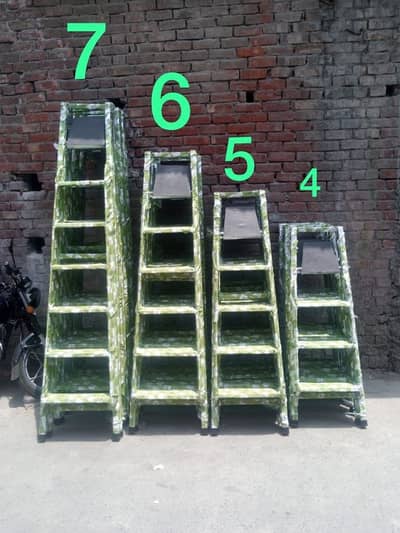 Folding Ladder