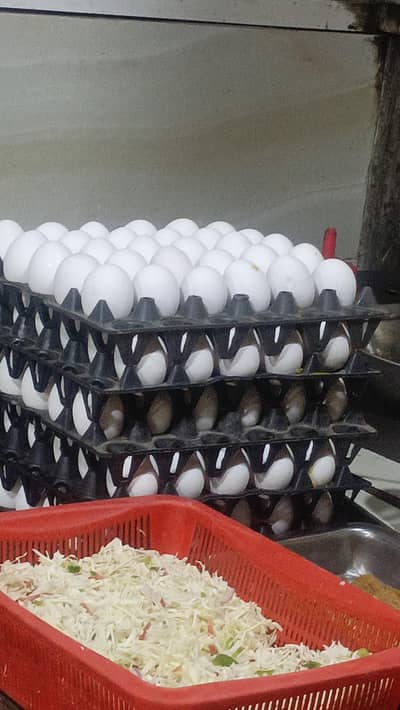 need Rider for Fast Food Restaurant