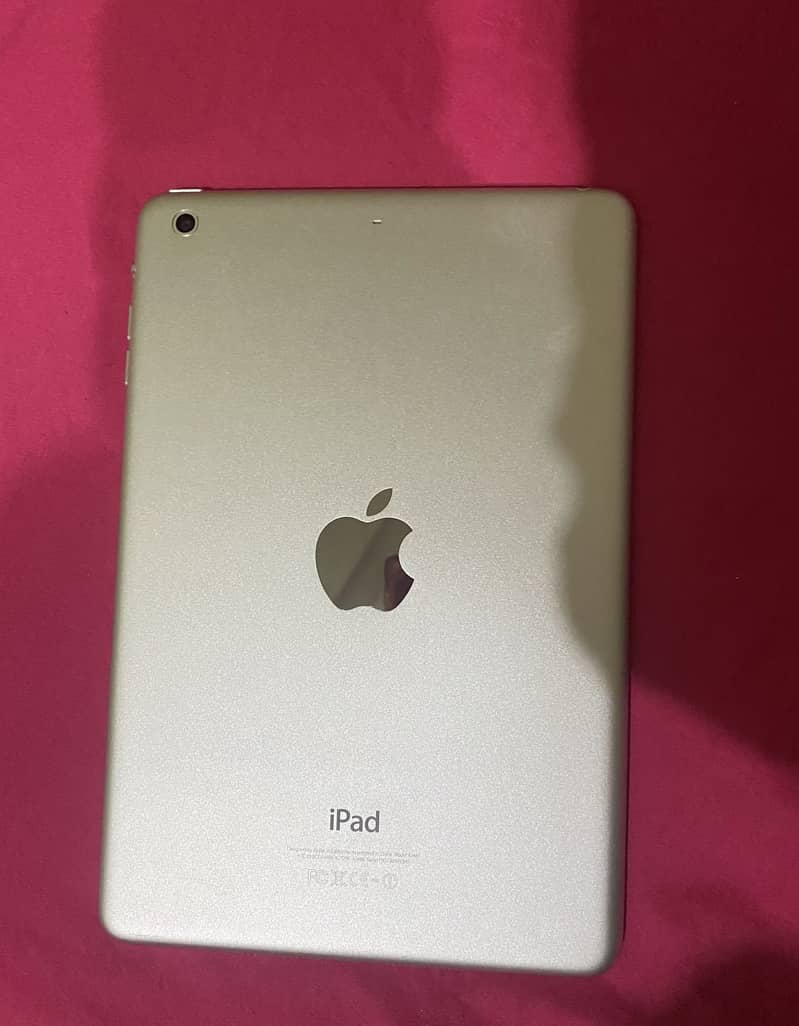 iPad mini 2 1