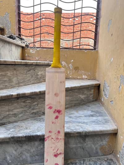 English willow Hard ball bat