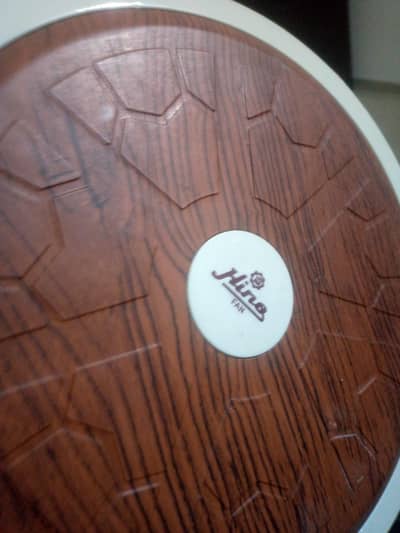 ceiling invertor Fan 30W