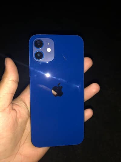 iphone 12 pta approved