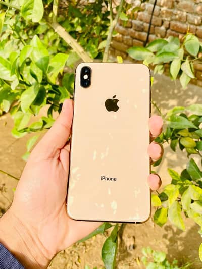 iPhone xs Max dual Pta provide 64gb