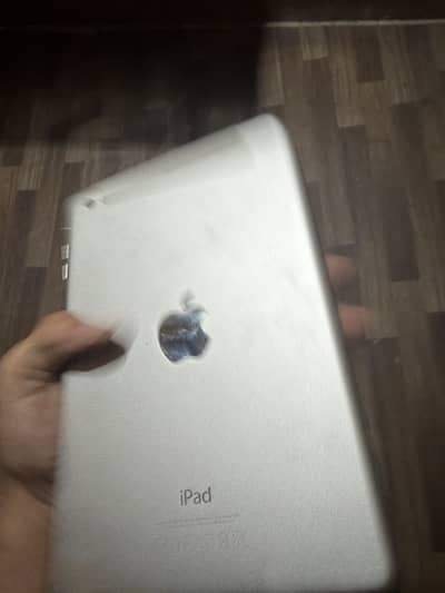 Ipad mini3