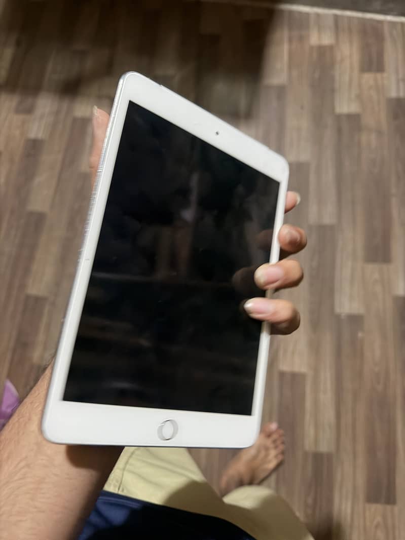 Ipad mini3 1