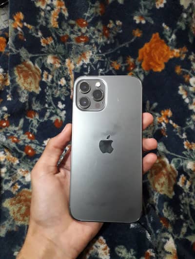 Iphone 12 Pro Max PTA approved (exchange possible)