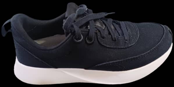 All bird shoes original