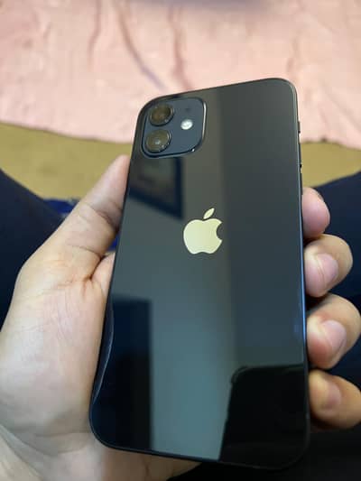 Iphone 12 128gb pta approved