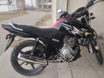 Ybr G 2019 Urgent Sale Price Yes No