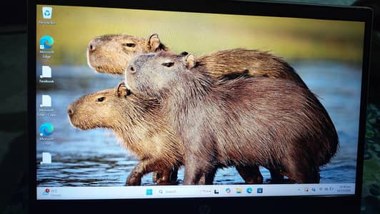 HP PAVILION I5 10TH GEN