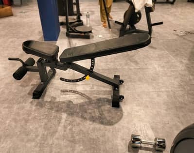 Bench press / incline bench / decline bench