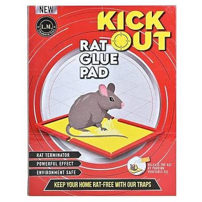 Rat glue pads