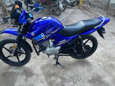 Yamaha YBR G