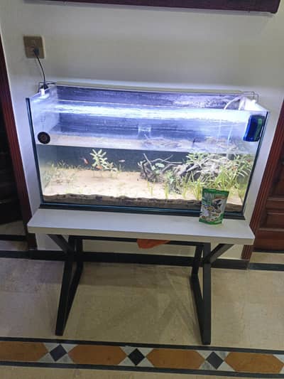 aquarium , table & accessories