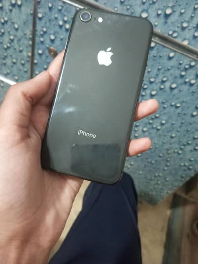 I phone 8