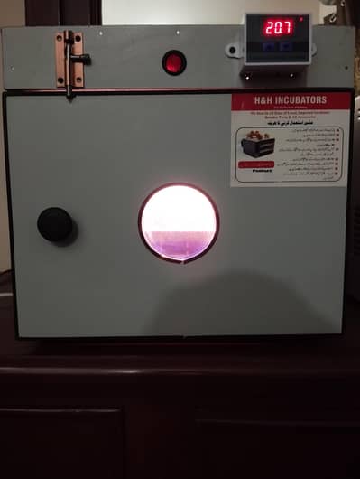 30 eggs incubator