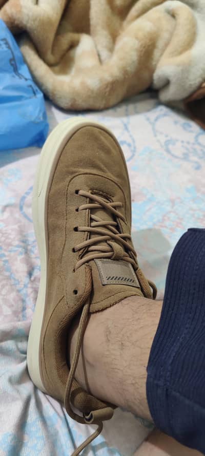 new ha bas pichli eid per pehny thy come from china