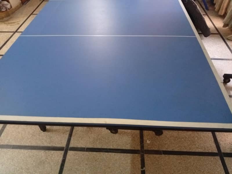 Table Tennis table 1