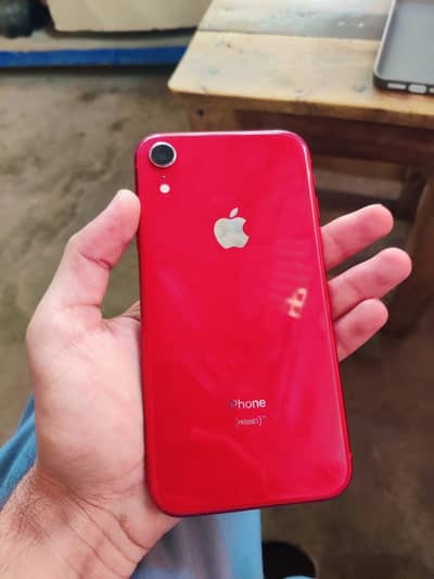 iPhone XR