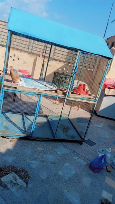 پرندوں کا پنجرہ فار سیل