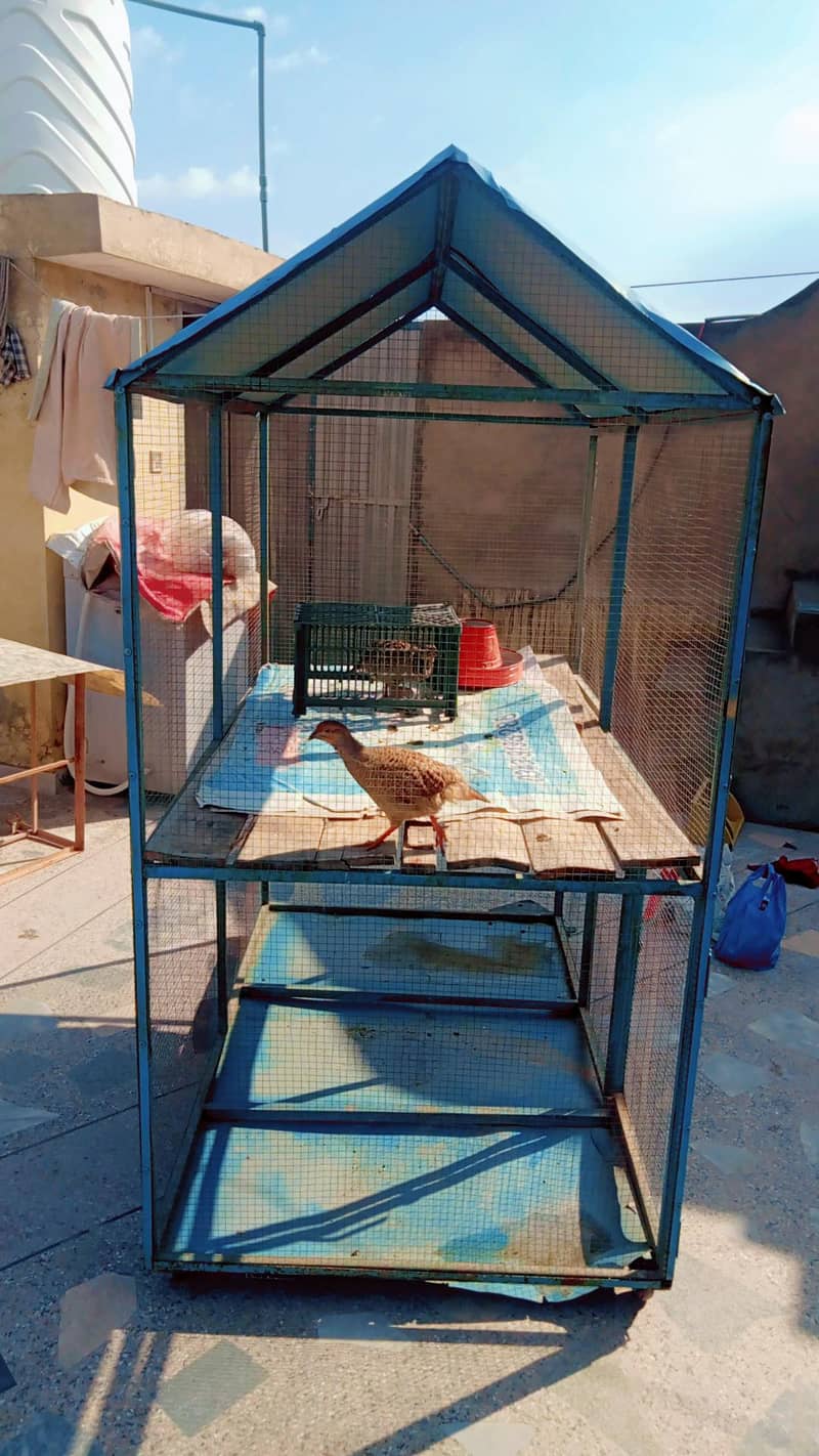 پرندوں کا پنجرہ فار سیل 2