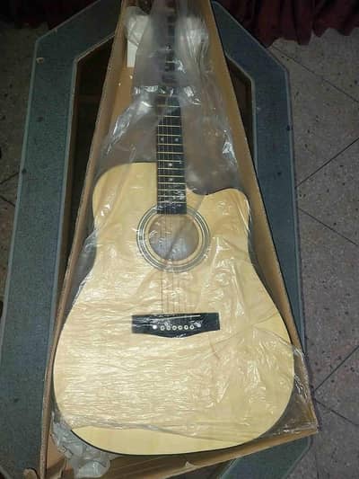 Brand New Guitar