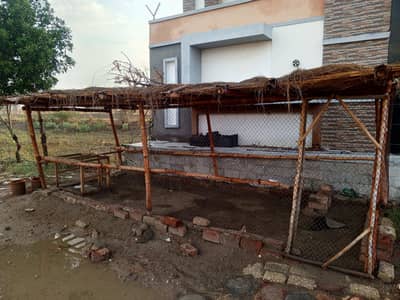 cage for goats and hen