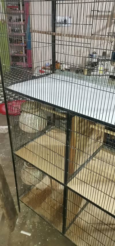 11000 price pinjra for sell good condition 03121005065