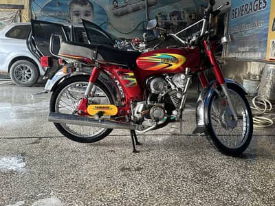 Touseef Ali 03115955059