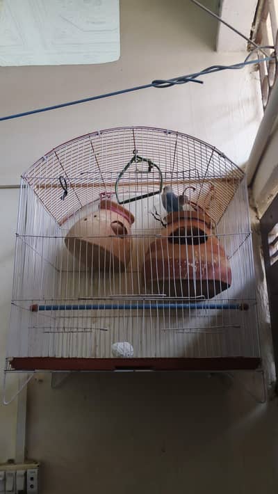 Cage with Love bird 4 piece