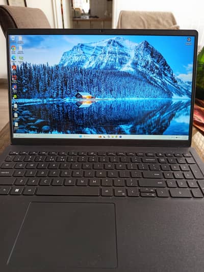Dell 15 DC15250 Laptop 13th Gen Core i5-1334U, 8GB RAM