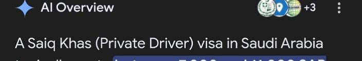 Visa for Saudi Arabia saiqa khas (private driver)