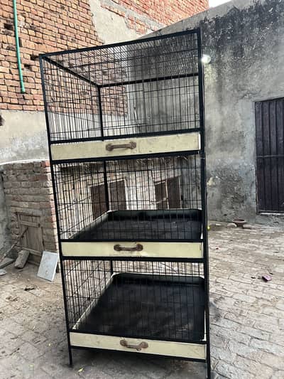 Cage for hens and parrots condition use