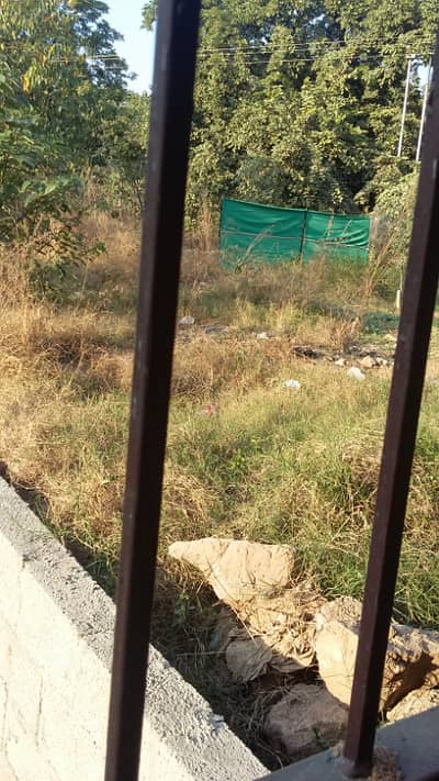 F-11/4 POLT CORNER 50+90 BACK OPEN EXTRA LAND FOR SALE