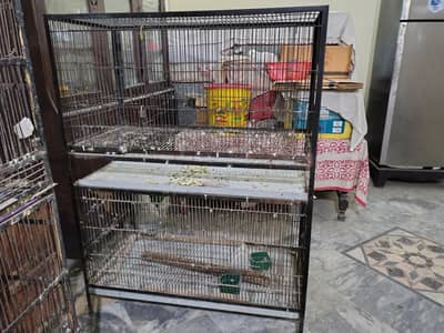 1 Cage Size 3 1.5 1.5 Call 03336610040