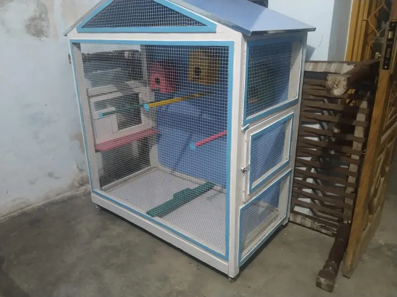 Birds Parrot Cage — photo 2