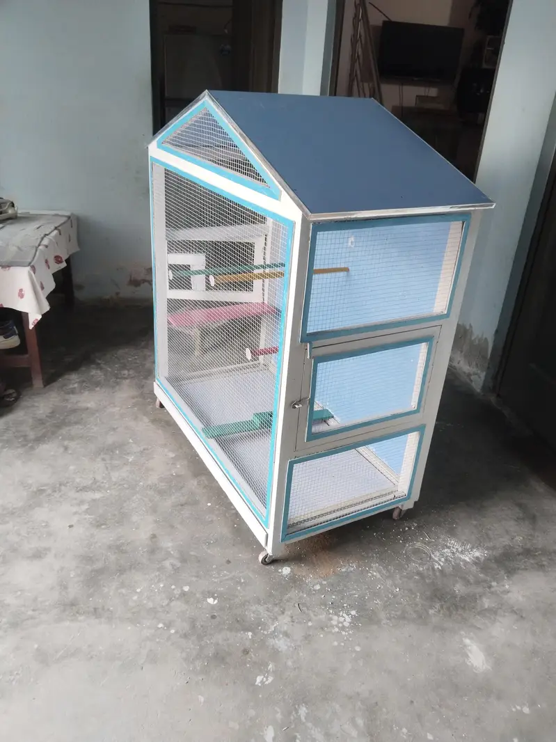 Birds Parrot Cage — photo 3