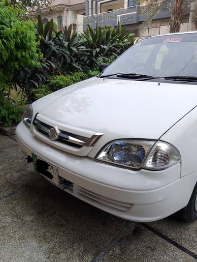 contact no 03704110060