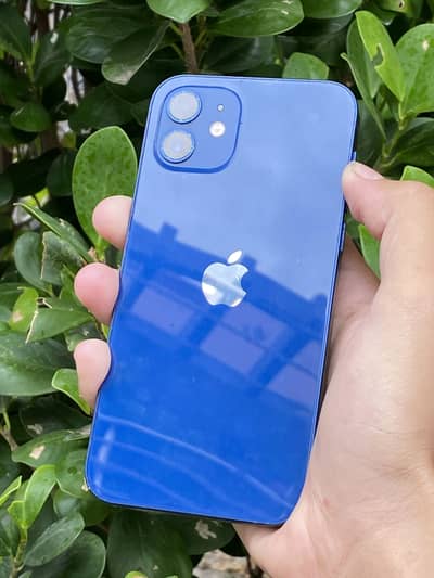 Urgent sale iphone 12 factory unlock