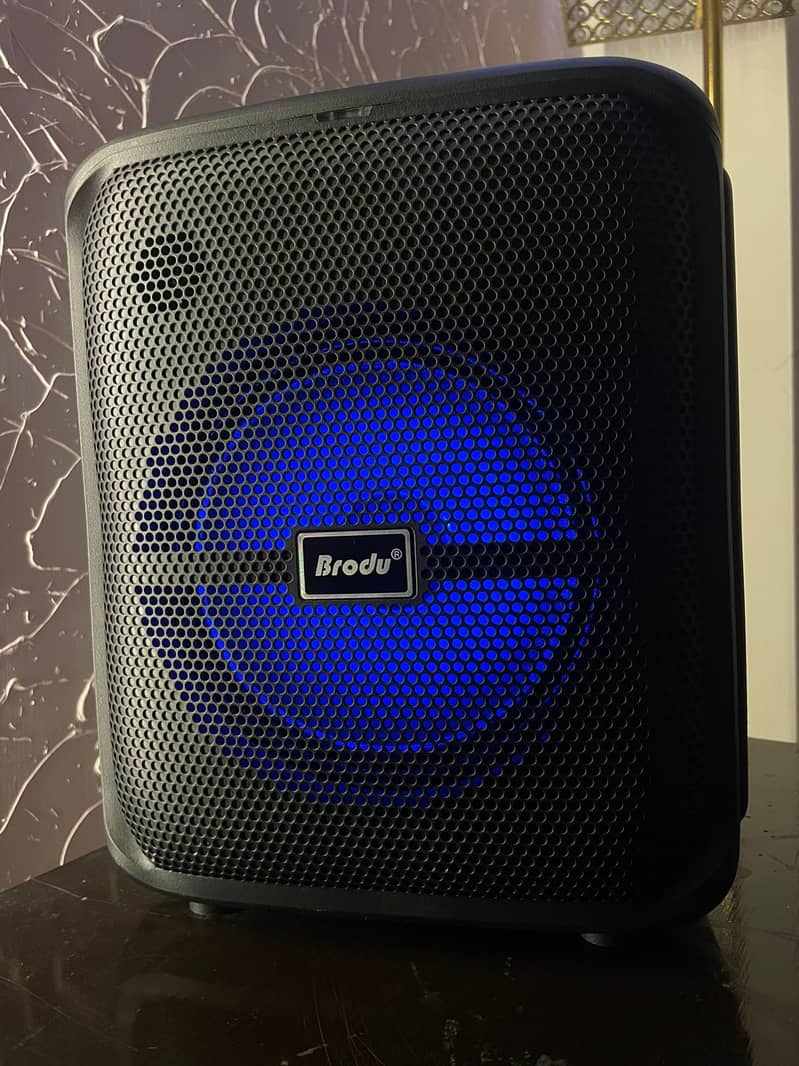 Brodu BTS-1740 Professional Karaoke Box - 8 Inch Speaker (2 Mics ...