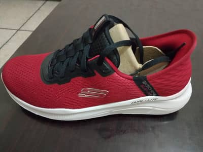 brand new sckacher imported show's  with Box