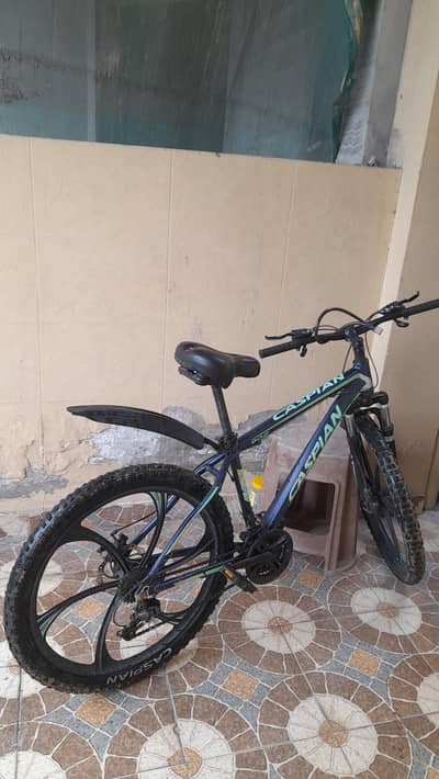 Caspian cycle gear cycle with dual disk break