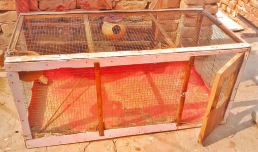 Beautiful cage available 4 by 8 story jali Onky 3K 03071250132