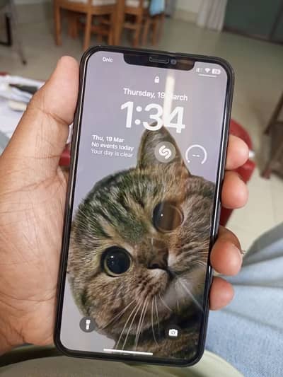 11 pro max Approved 256 ( Panel Change)